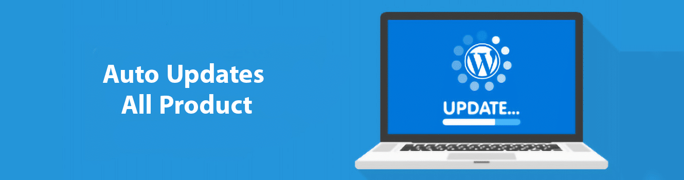 Update Plugins And Themes