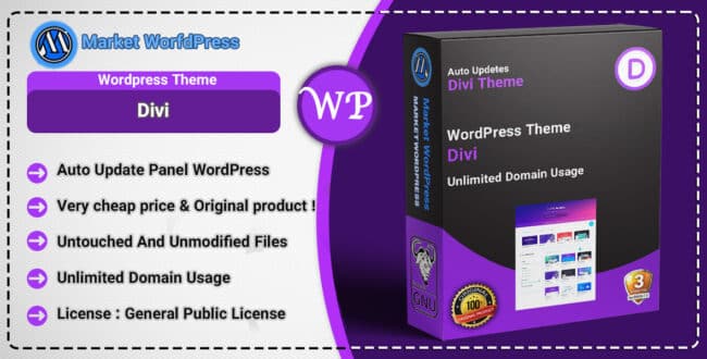 Divi Theme