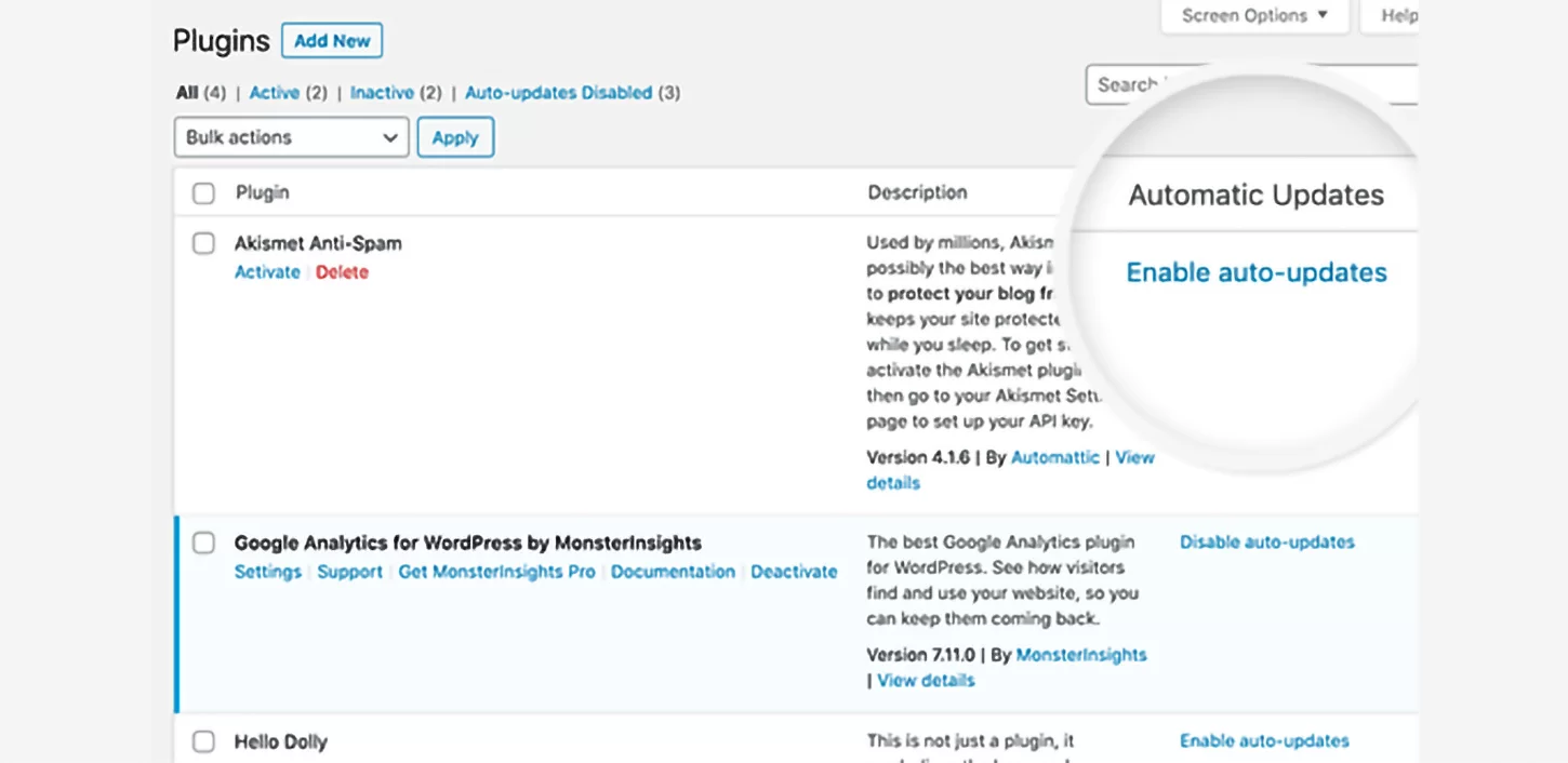 plugin-enable-automaticupdates